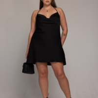 Delilah Plus Size Mini Dress